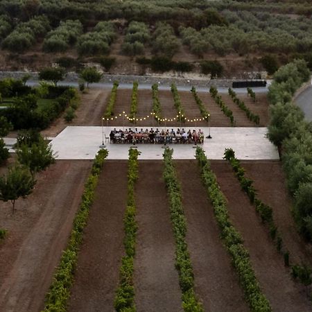 Citrus Grove Luxury Villas 스켈레타 외부 사진
